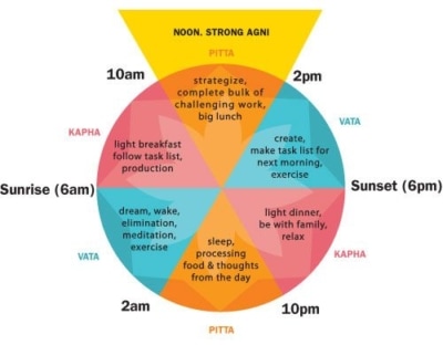 Ayurvedic Dosha Cycle