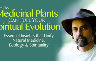 How Medicinal Plants Can Fuel Your Spiritual Evolution: Essential Insights that Unify Natural Medicine, Ecology & Spirituality