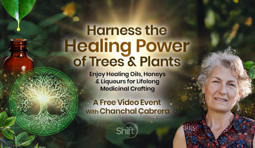 Harness the Healing Power of Trees & Plants: Enjoy Healing Oils, Honeys & Liqueurs for Life-Long Medicinal Crafting with medical herbalist Chanchal Cabrera,