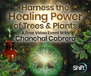 Plant-based herbal products are well known as remedies for treating diseases and helping maintain health.