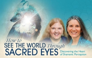 How-to-See-the-world-through-sacred-eyes The Shift Network Event