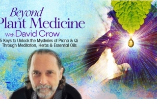 Beyond Plant Medicine with David Crow