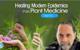 Healing Modern Epidemics with Plant Medicine with David Crow (November 2019 – January 2020)