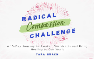 The Radical Compassion Challenge - Radical Compassion Summit Sounds True