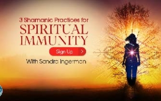 3 Shamanic Practices and a Shamanic Healing Ceremony for Spiritual Immunity with Sandra Ingerman