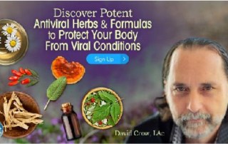 Discover Potent Antiviral Herbs & Formulas to Protect Your Body From Viral Conditions with David Crow April - May 2020-