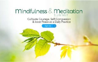 Mindfulness and Meditation Summit 2020 presented by The Shift Network