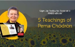 5 Teachings of Pema Chodron a FREE E-Book-