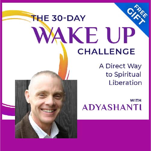 piritual Growth Online Course with Adyashanti