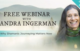 FREE Webinar Accessing Spiritual Guidance in Turbulent Times Shamanic Journeying with Sandra Ingerman