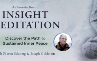 An Introduction to Insight Meditation