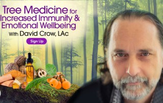 Tree Medicine for Increased Immunity & Emotional Wellbeing with David Crow (November – January 2021)