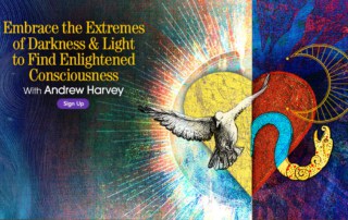 Embrace the Extremes of Darkness & Light to Find Enlightened Consciousness with Andrew Harvey- Awakening Consciousness