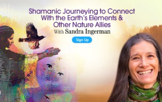 Shamanic Journeying to Connect With the Earth’s Elements & Other Nature Allies with Sandra Ingerman (January – February 2021)-