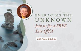 Pema Chödrön Teachings on Embracing the Unknown a FREE Q&A