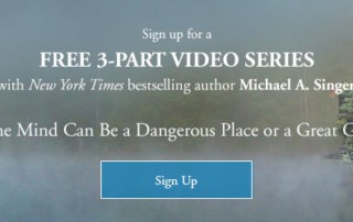 Michael Singer 8 Week Online Course FREE 3 Part Video Series Intro to Living from a Place of Surrender-