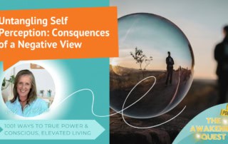 Untangling Self-Perception The Consquences of a Negative & False Self View 1001 Ways to True Power