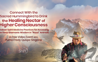 Connect With the Sacred Spirit Animal of the Hummingbird to Drink the Healing Nectar of Higher Consciousness: Andean Spirit Medicine Practices for Accessing the Deep Shamanic Wisdom in “Royal” Animals