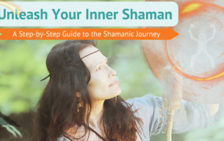 What is a Shamanic Journey