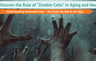 Understanding Senescent Cells – The Role of “Zombie Cells” in Aging and Health