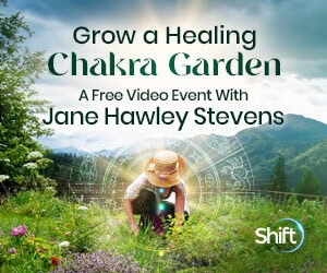 Create a sanctuary for the body and spirit w/Jane Hawley Stevens Synergize herbs, the moon’s cycles & your chakras