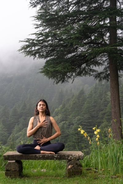 Mindfulness vs Meditation Retreat: How to Choose the Perfect Retreat for You