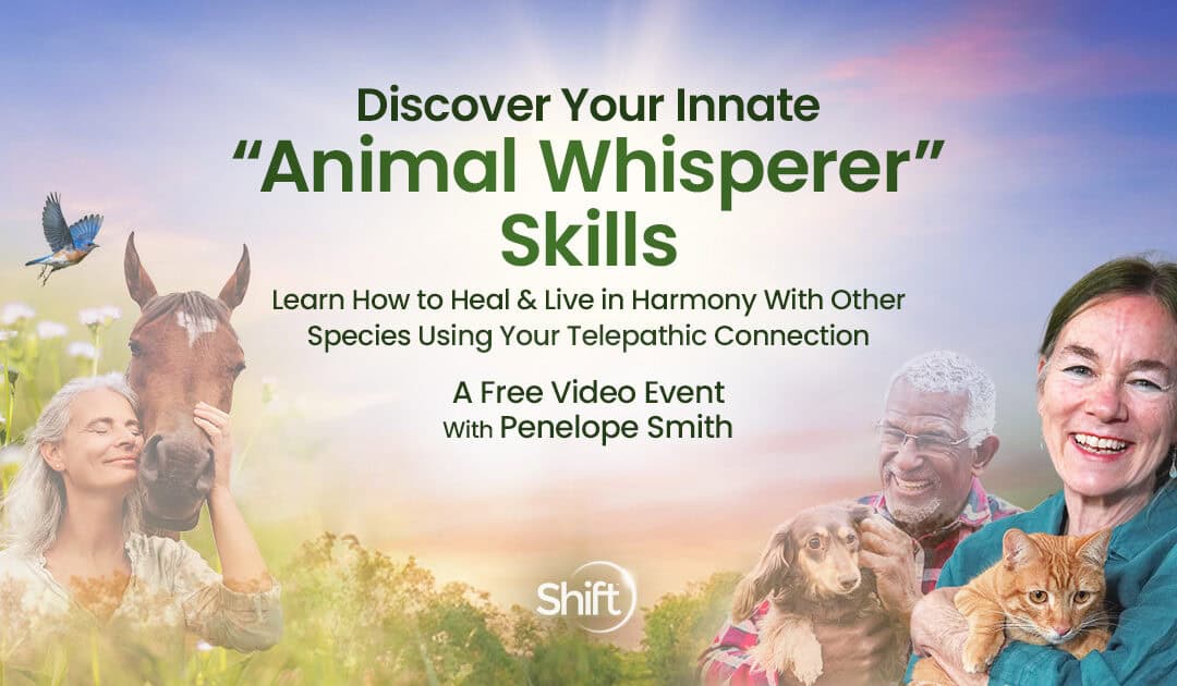 Join a free animal communication event w/Penelope SmithConnect telepathically & live in harmony w/your pet 